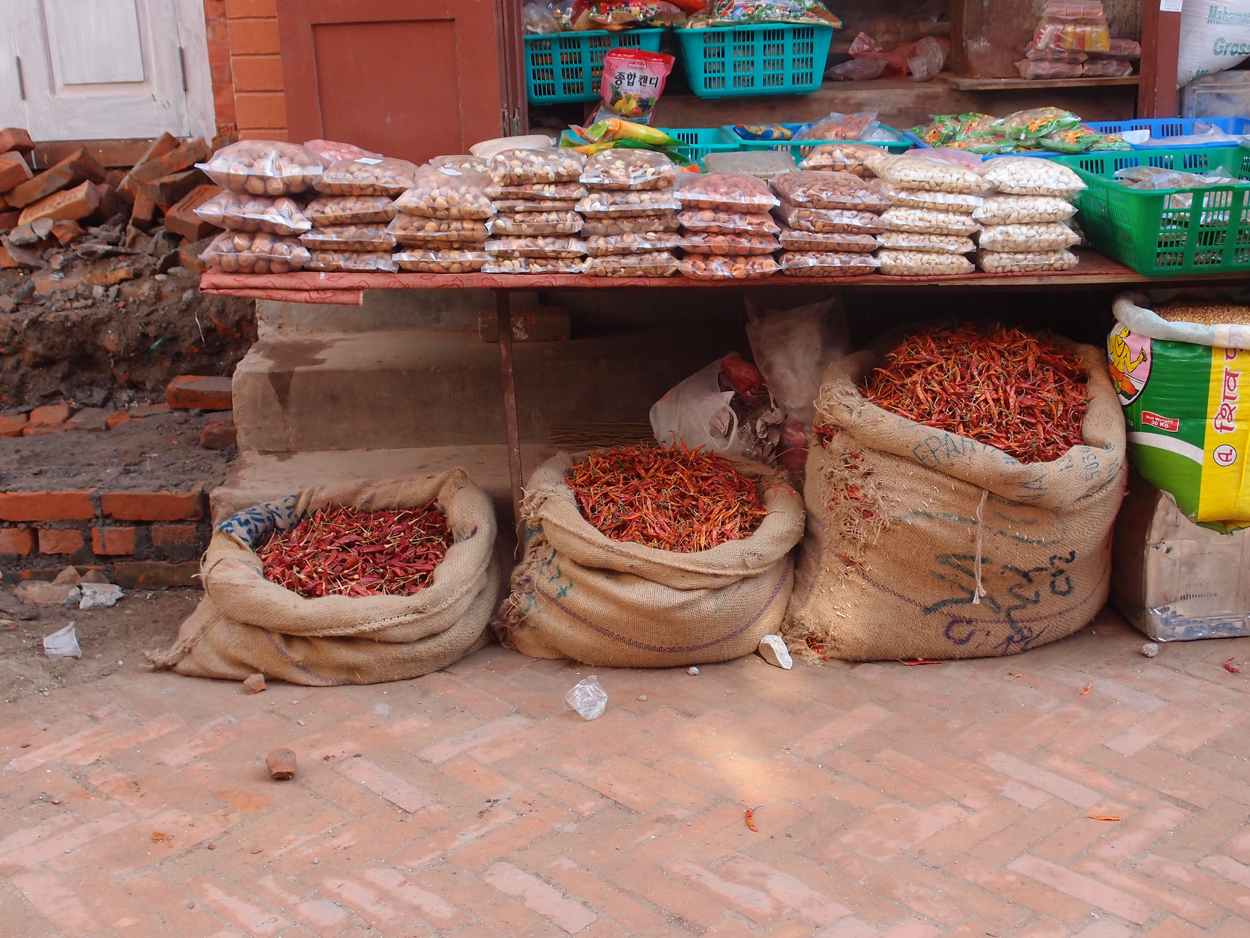 2018-01-22 10 Uhr - Boudha Walk (Foto) 